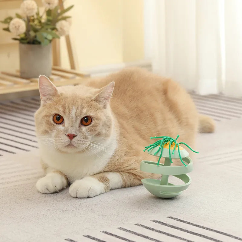 🎶 Birdsong Cat Ball – Interactive Sound & Motion Toy